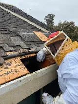 CURA Termite and Pest Control photo 6