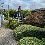 RoyalWorks Landscaping LLC photo 8