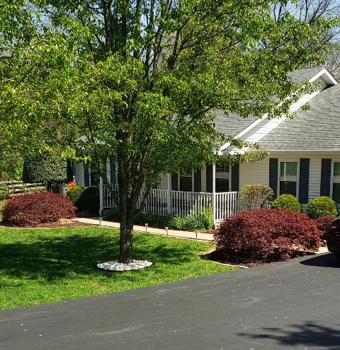 Moxie Pest Control in Louisville