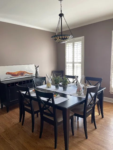Painter Ready in Murfreesboro