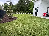 Winesett Nursery and Landscaping photo 3
