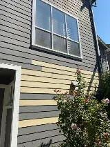We Care Pest Solutions photo 6