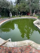 Diablo Valley Pool Service and Repair photo 7