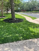 The Works Lawn Service photo 5