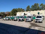 All Solutions Pest Control photo 2