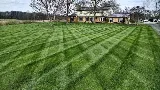 Grizzly Bear Lawn Care photo 3