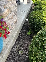 Top Level Concrete photo 5