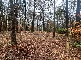 4th Generation Landscaping, Clean Up and Mulching photo 6
