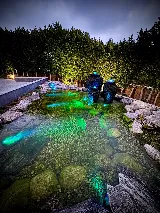 Flow Landscape/Flow Aquascapes photo 5