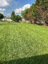 LawnStarter Landscaping photo 5