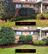 A Perfect Edge Landscaping LLC photo 6