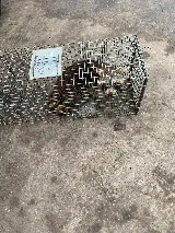 All Seasons Pest Control Inc. photo 3