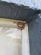 Liberty Pest Management photo 4