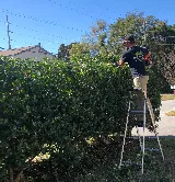 Matt’s Lawn Care & Landscaping LLC photo 4
