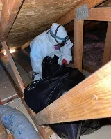 360 Rodent Control photo 8