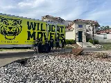 Wildcat Movers - Plano photo 4
