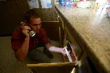 Pied Piper Pest Control Inc photo 4