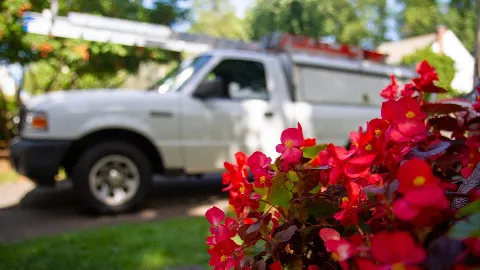 Richland Pest & Bee Control in West Hartford