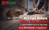 Xpeller Pest Solutions photo 5