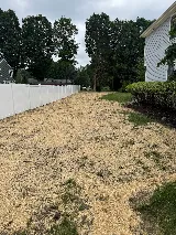 Frascatore Landscaping LLC