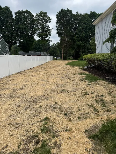 Frascatore Landscaping LLC photo 1
