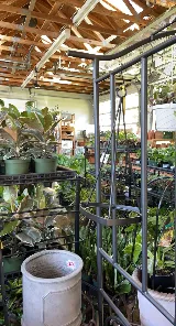Green Fields Nursery & Landscaping Company photo 3