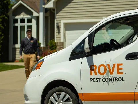Rove Pest Control photo 1