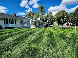 Lawntana photo 2