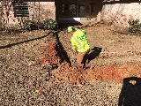 Lawnmasters photo 4