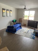City Movers Miami photo 7
