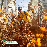 Augusta Lawn Care of Burnaby photo 8