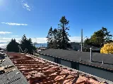 Spartan Roofing Ltd photo 7