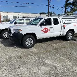 Orkin photo 2