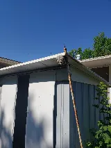 Veterans Pest Control photo 2