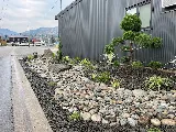 Lake to Lake Landscaping photo 3