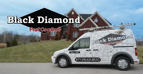 Black Diamond Pest Control in Louisville