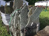 Means Stone photo 8