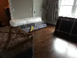 Island Movers photo 3