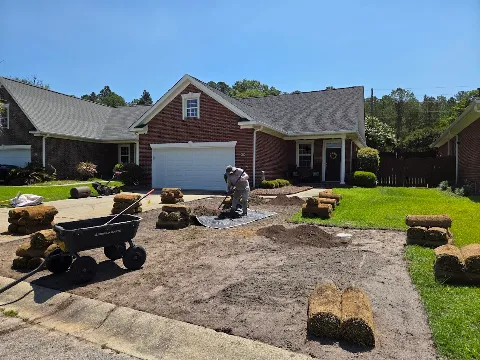 Amazing Lawn & Landscape in Columbia