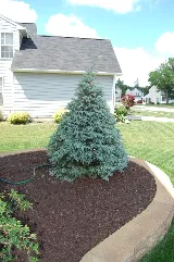 Calanni Landscaping LLC photo 6