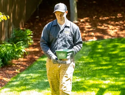 Rove Pest Control in Rochester
