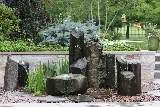 Pro Care Horticultural Services photo 6