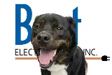 Best Electric Service, Inc. photo 6