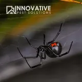 Innovative Pest Solutions photo 8
