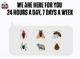 Mr Bug Pest Control photo 8
