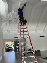 Best Florida Pest Control photo 7