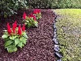 Blossom Landscaping photo 6
