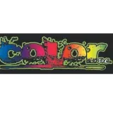 Color Inc photo 2