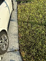 McCall Pest & Wildlife - Jacksonville photo 6