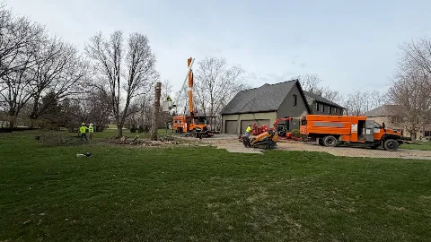 Tree Of Life Tree Service & Landscaping in Carmel